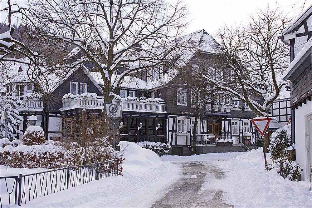 Landhotel Albers Шмалленберг Экстерьер фото